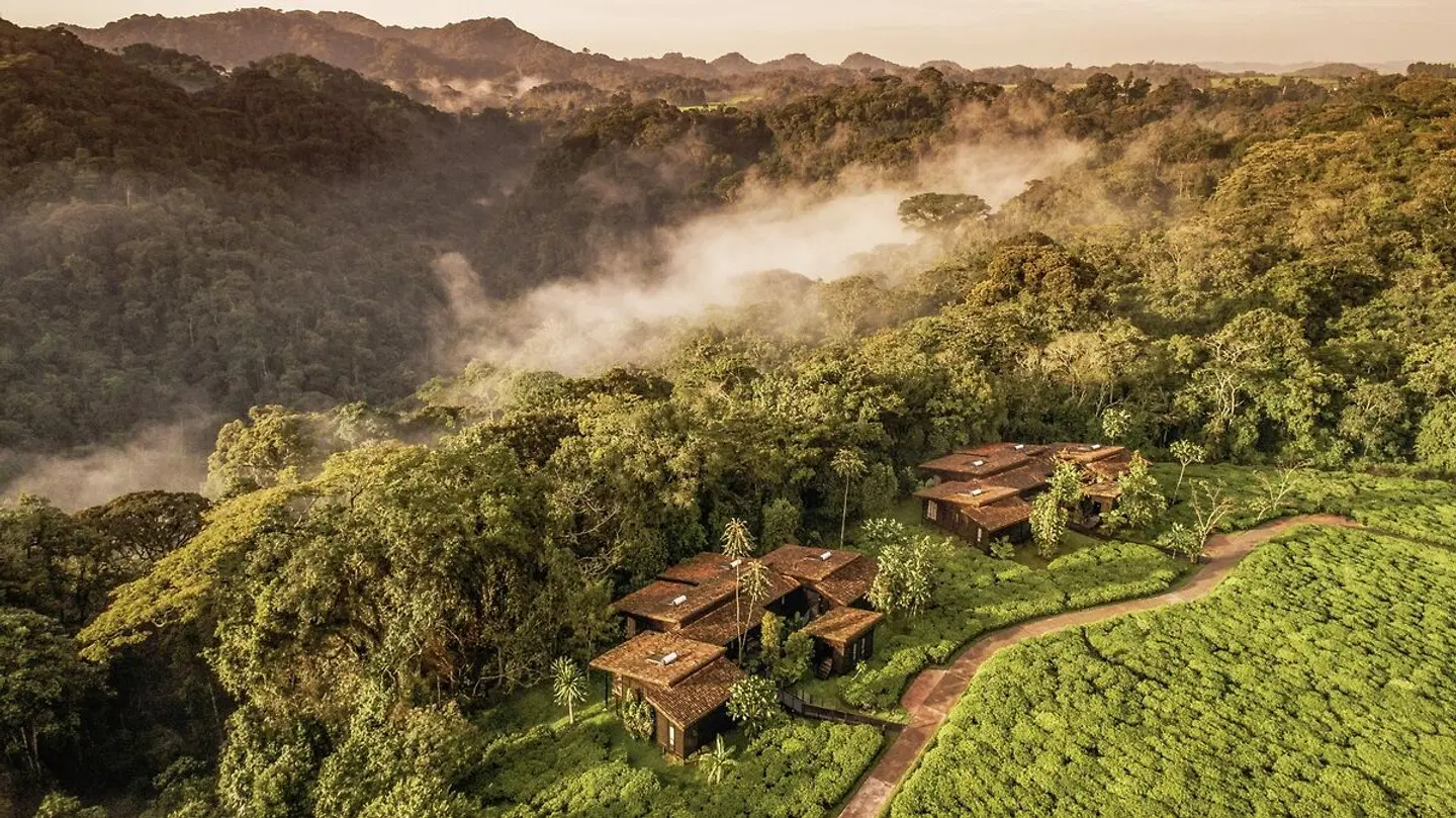 One&Only Nyungwe House LANDSCAPE