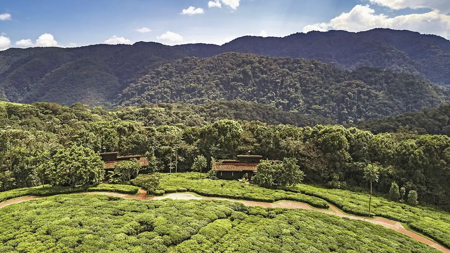 One&Only Nyungwe House LANDSCAPE