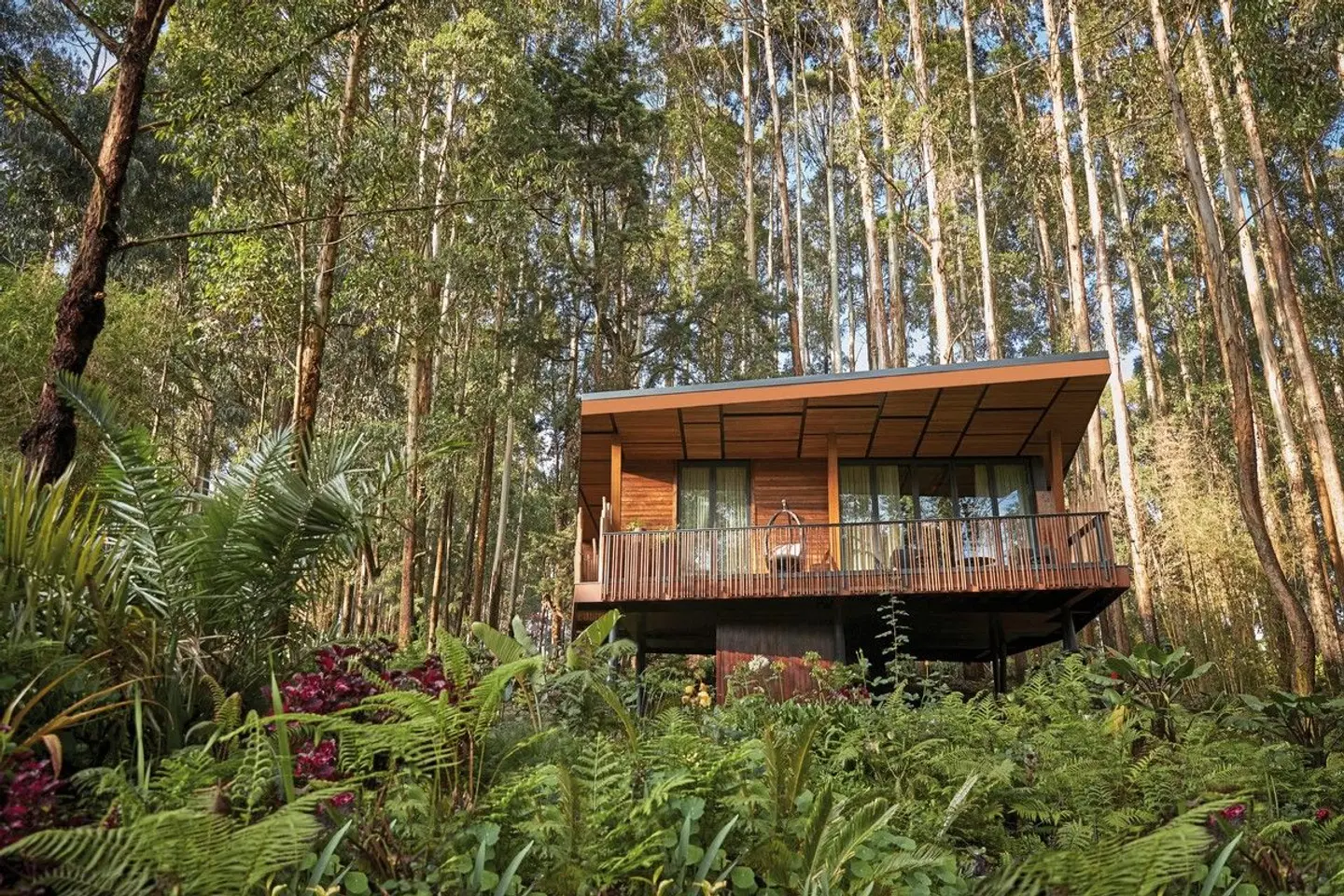 One&Only Gorillas Nest EXTERIOR