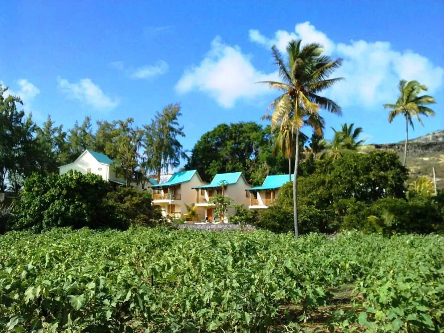 Auberge St Francois Garten