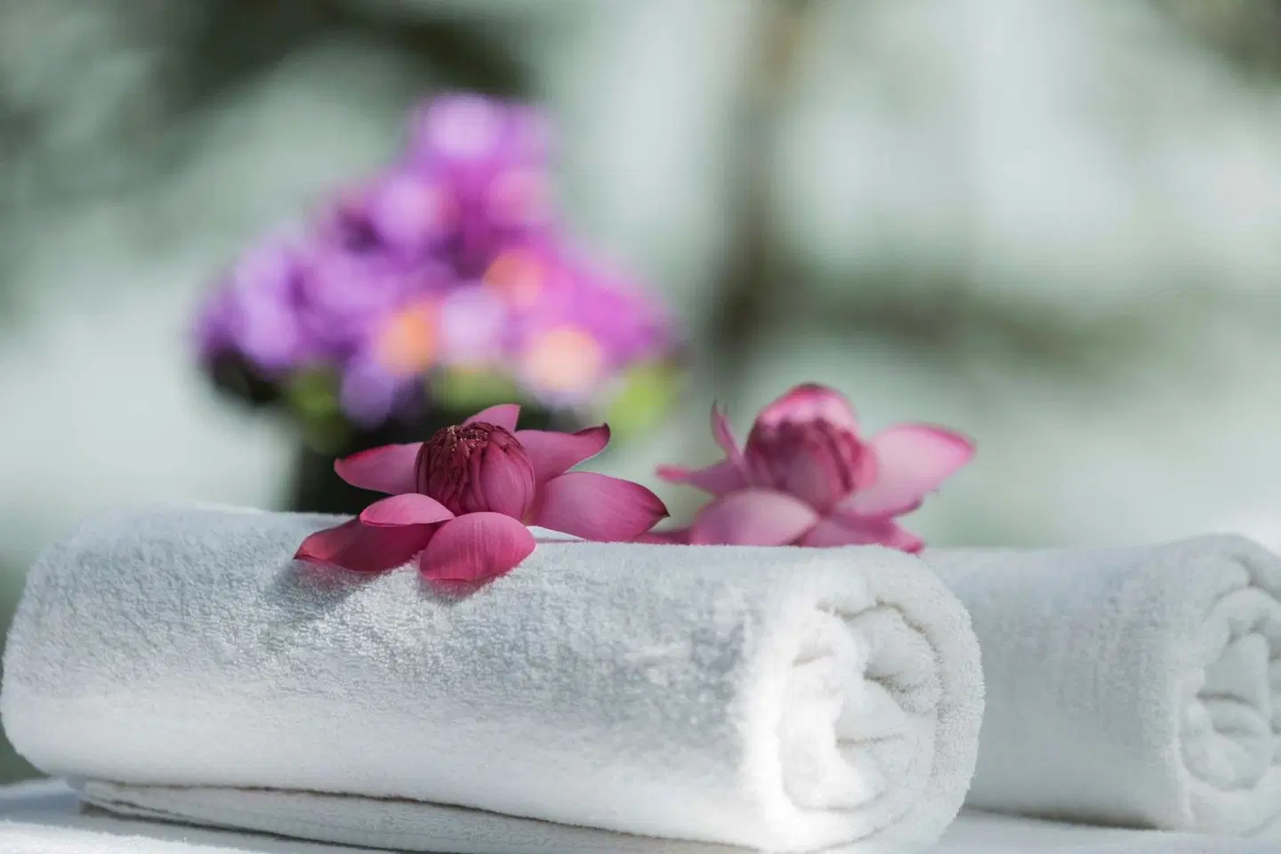 The Hermitage by Edwards Collection HEALTH_BEAUTY