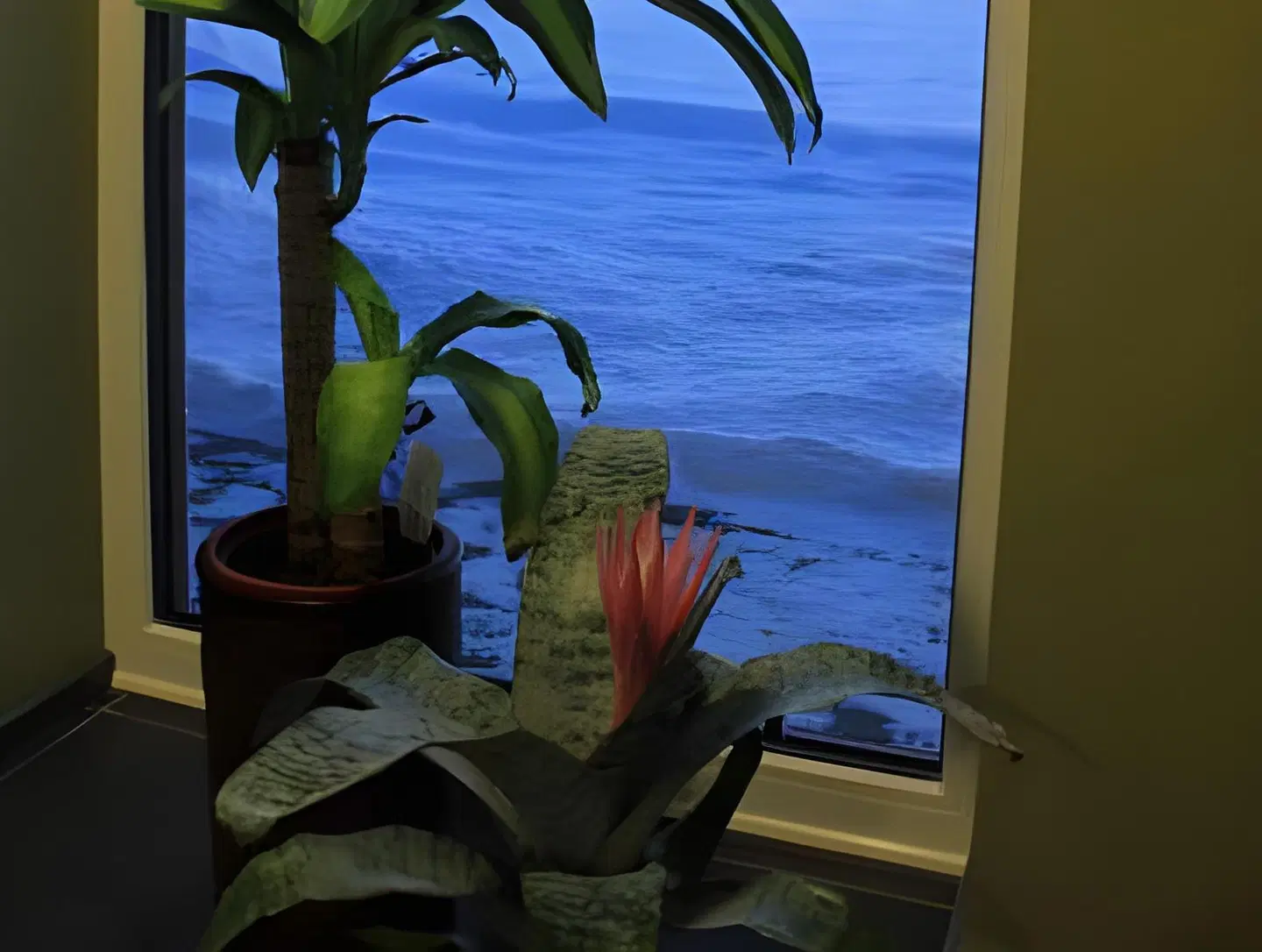Tuhamäe Hostel ROOM_EXAMPLE