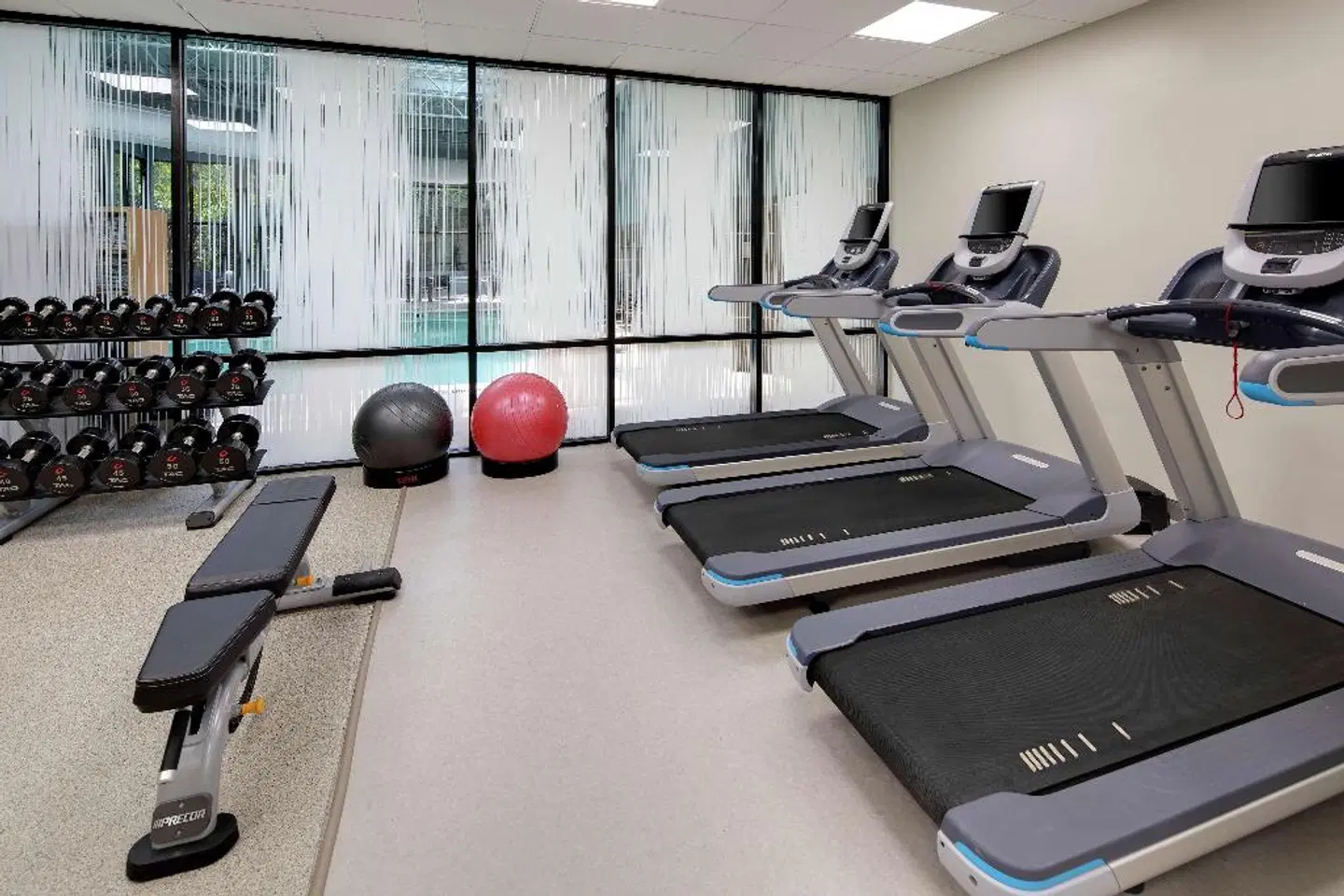 Embassy Suites by Hilton Atlanta Perimeter Center SPORTS_AND_LEISURE