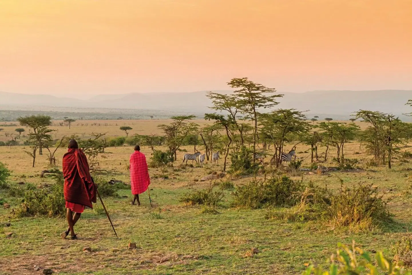 Kenia & Tansania - der Rhythmus der Wildnis LANDSCAPE