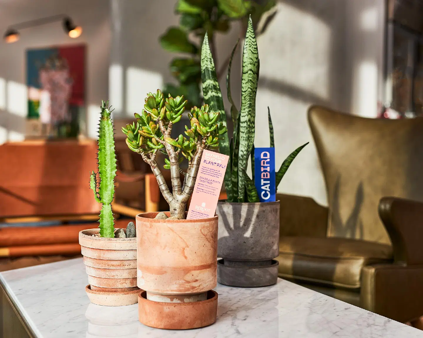 Catbird Hotel LOUNGE_LOBBY