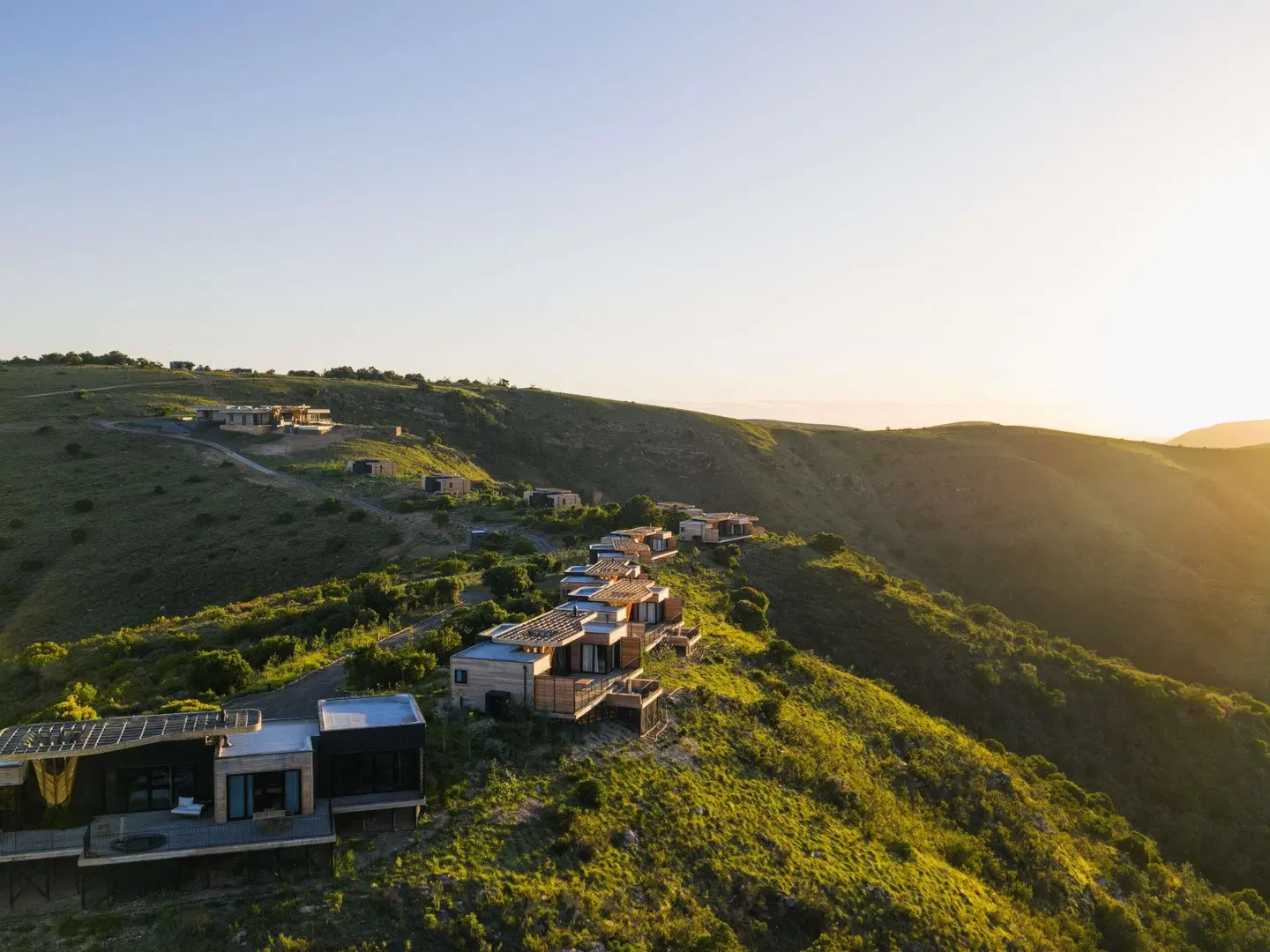 Mantis Hiddn In Addo LANDSCAPE