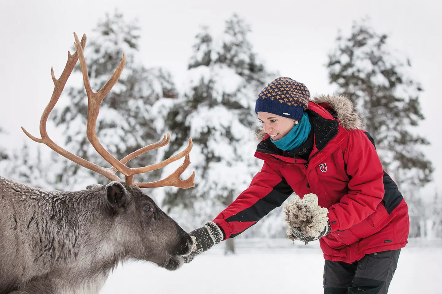 Harriniva - Lapplands Weihnachtszauber PEOPLE