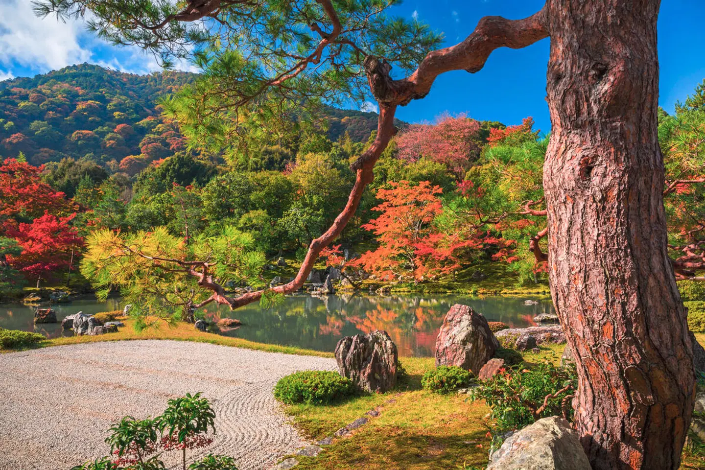 Japan privat Garten