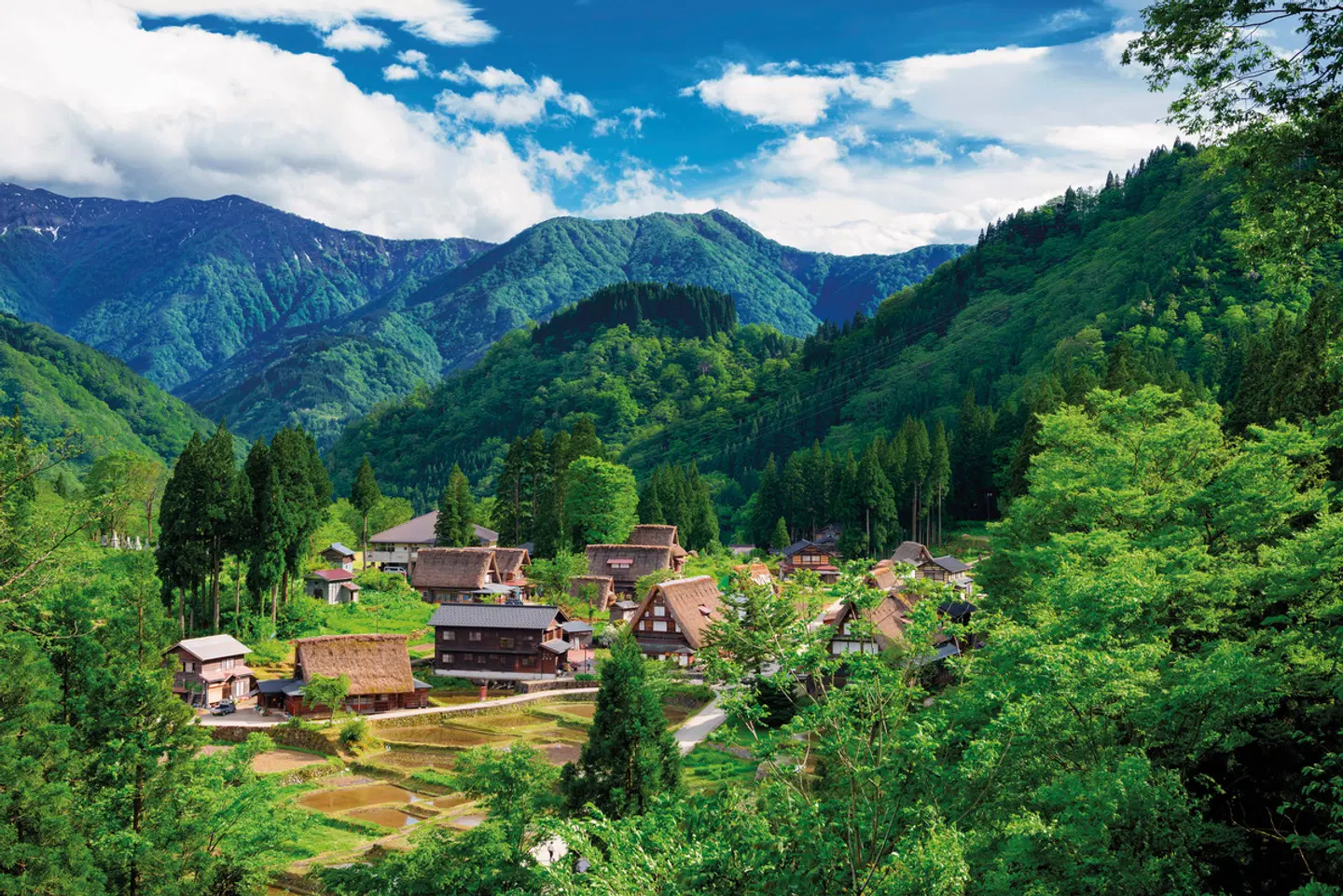 Japan privat LANDSCAPE