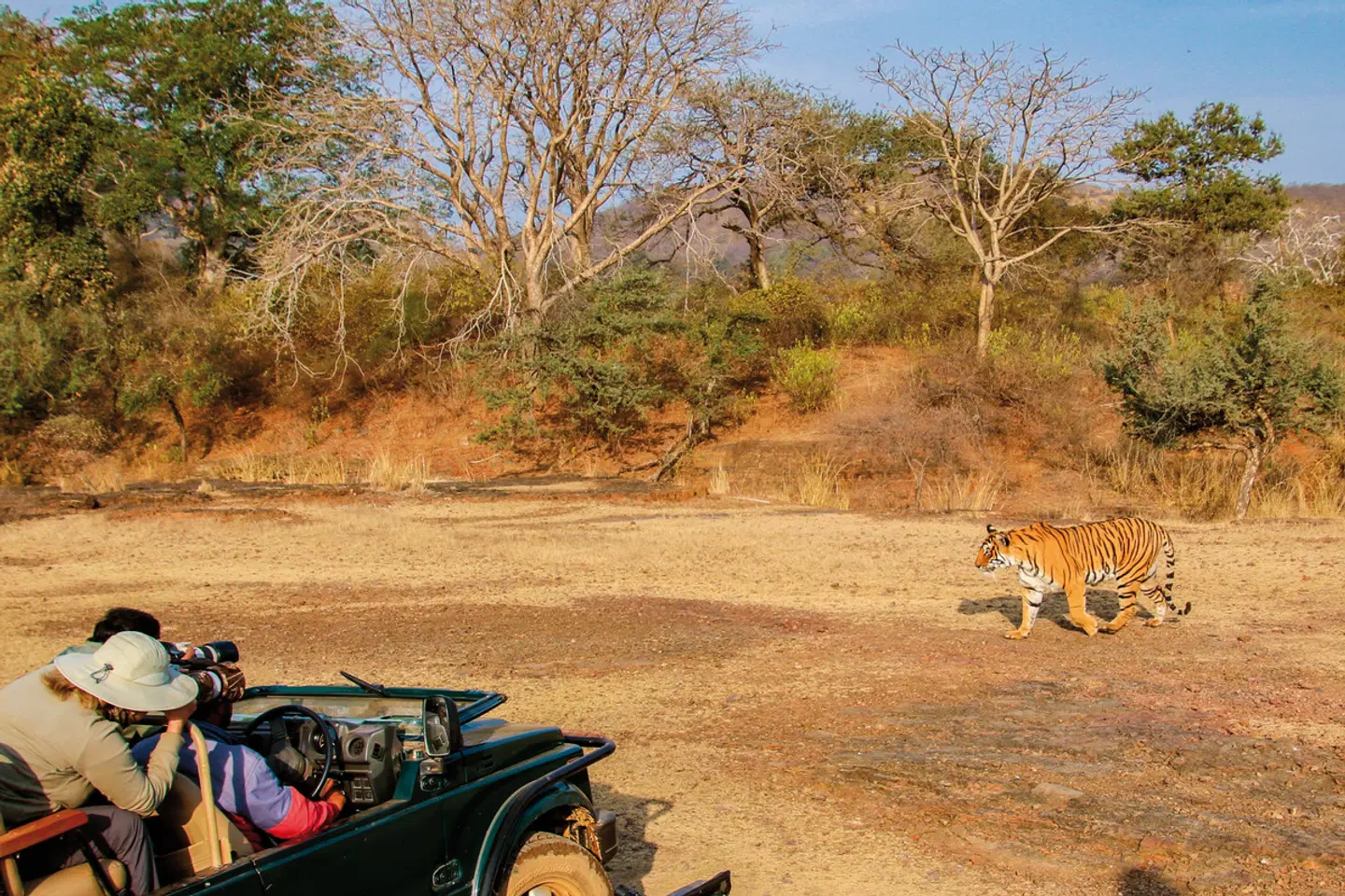 Das Goldene Dreieck Indiens - Kultur & Wildlife LANDSCAPE