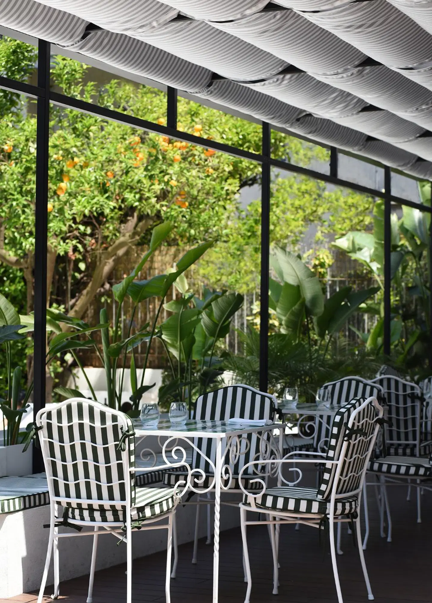 Grand Hotel Flora Terrasse