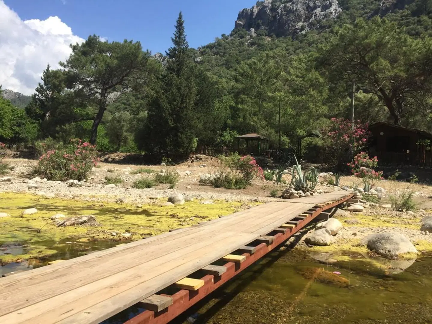 Canario Bungalows Pension LANDSCAPE