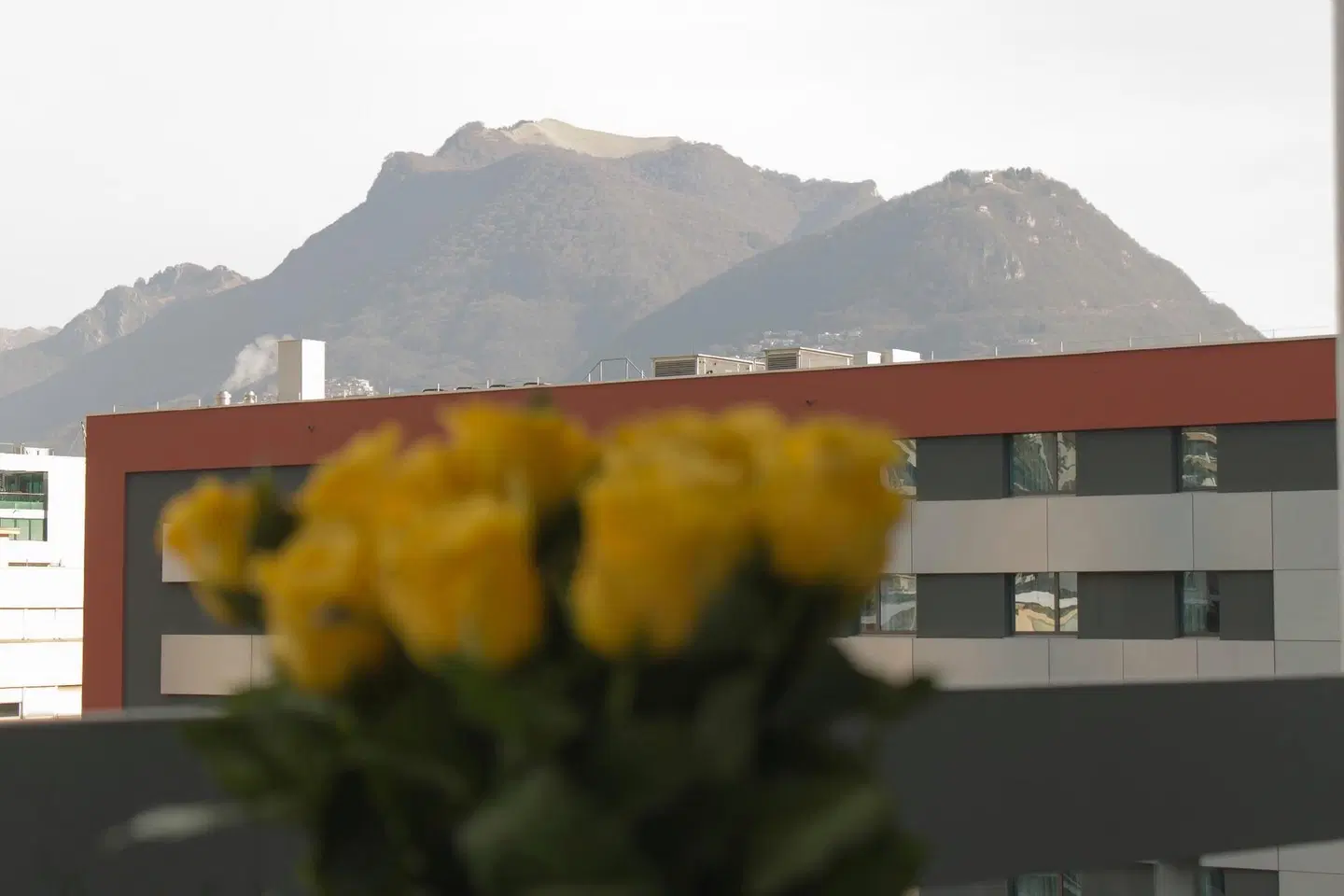 Admiral Lugano (ex Holiday Inn Lugano) LANDSCAPE
