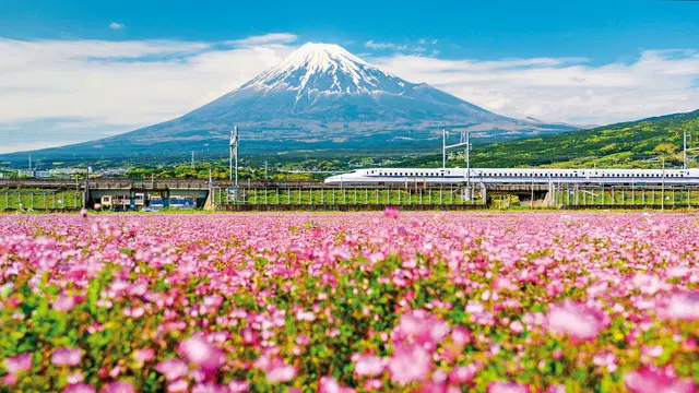 Japan für Individualisten (inkl. Flug) LANDSCAPE