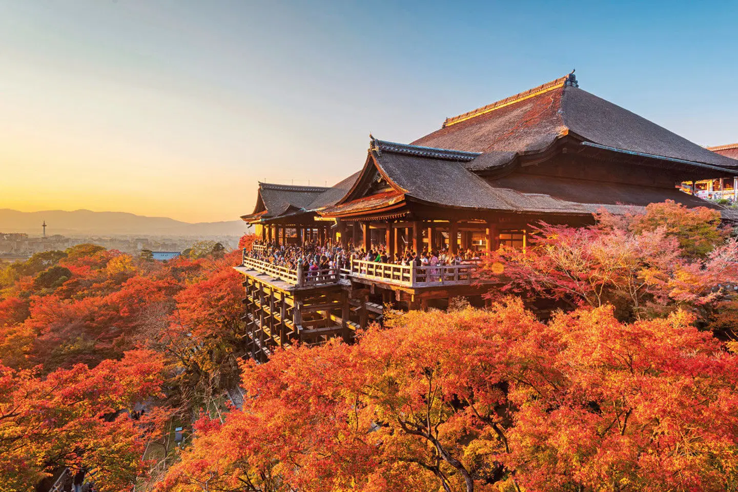Japan für Individualisten (inkl. Flug) EXTERIOR