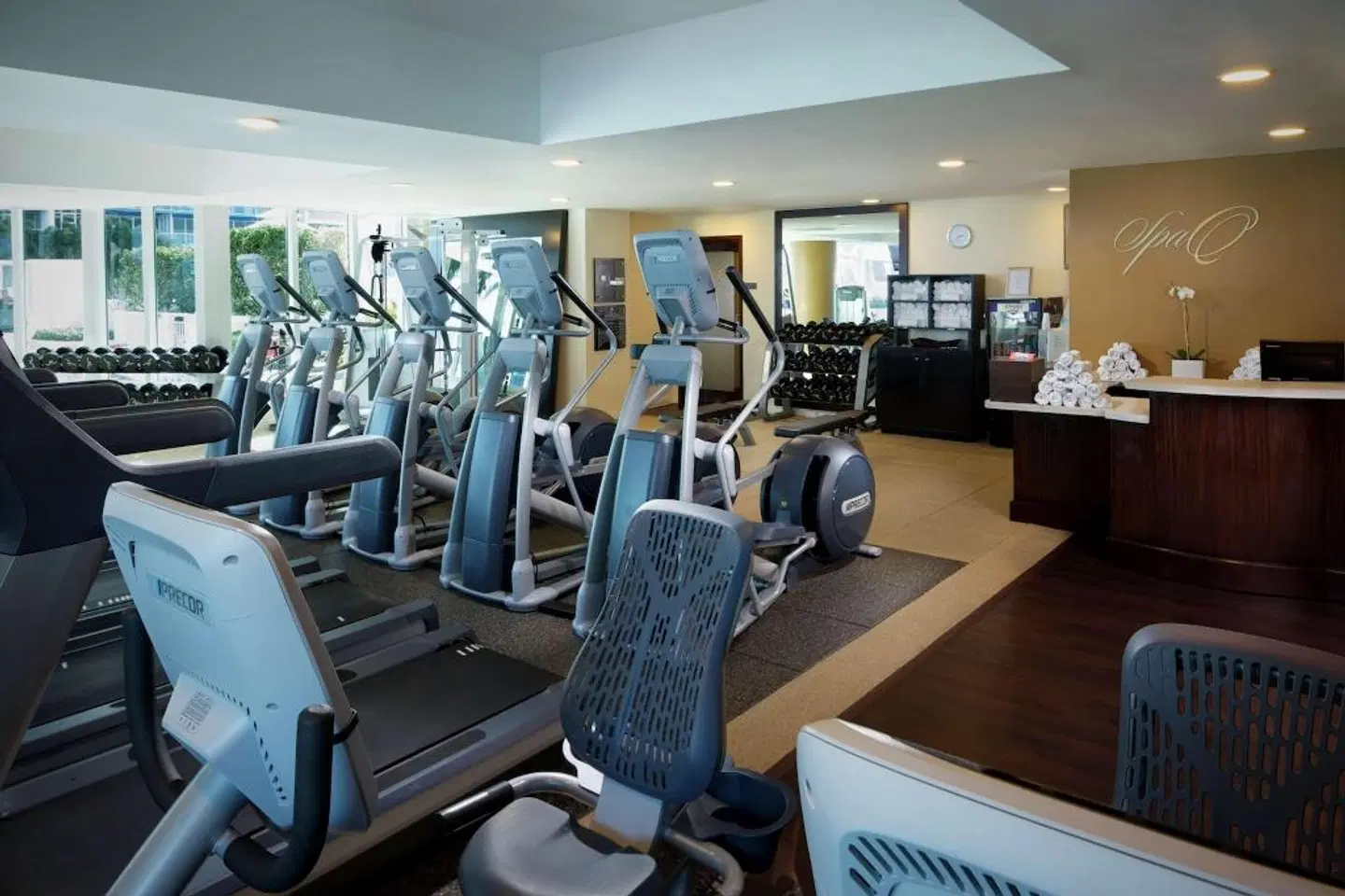 Hilton Fort Lauderdale Beach Resort SPORTS_AND_LEISURE