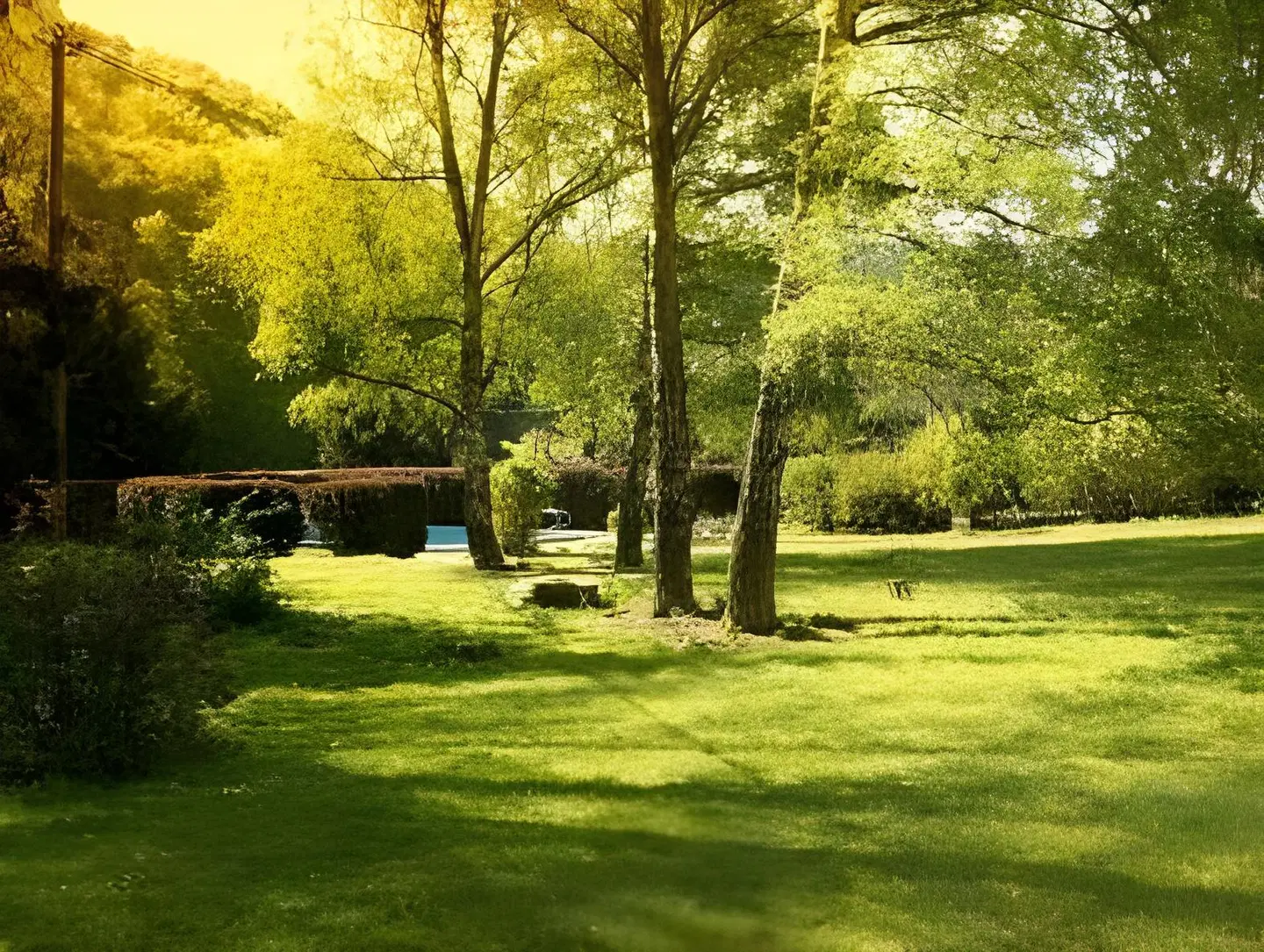 Freimühle Garten