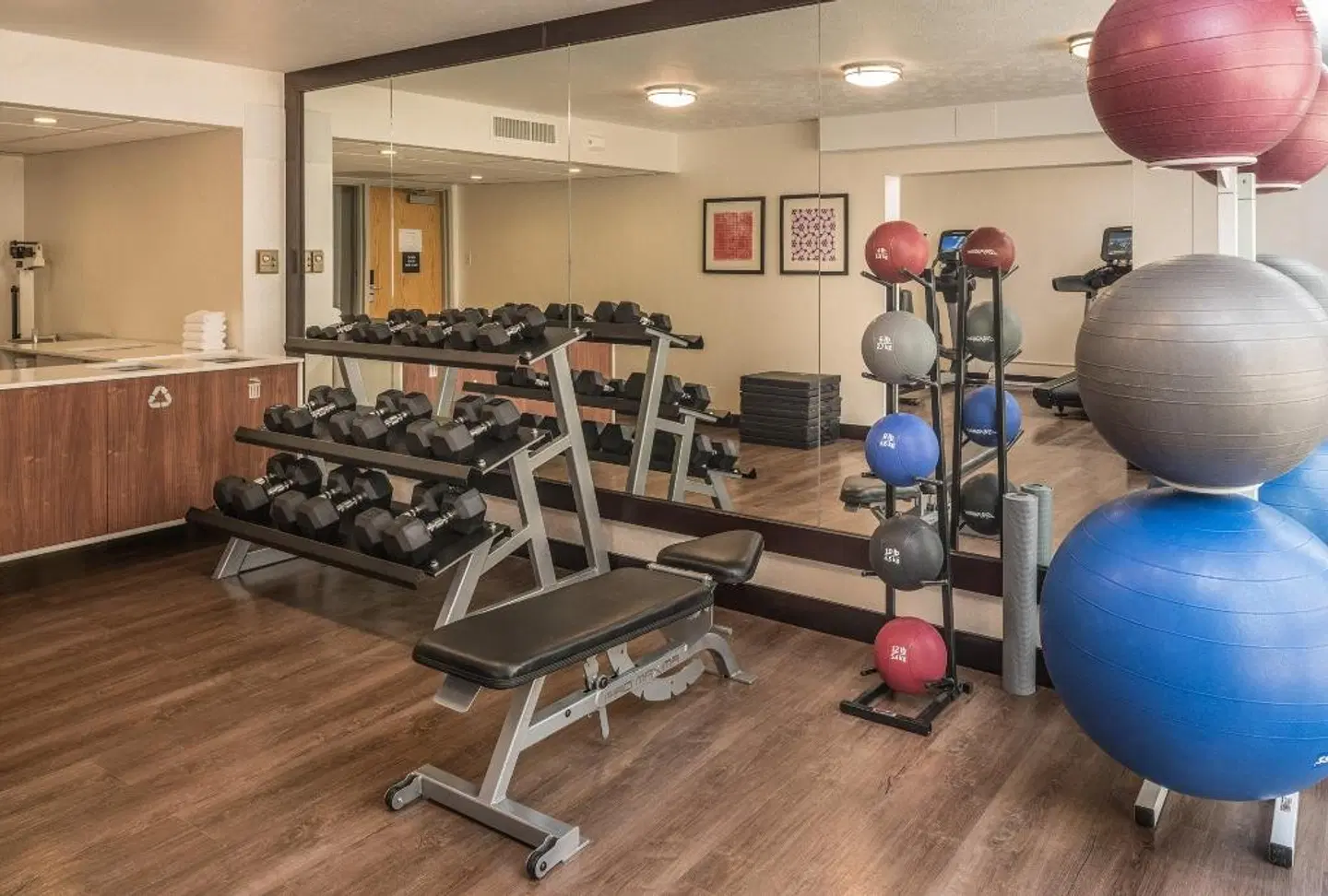 Holiday Inn Express & Suites Springfield by IHG SPORTS_AND_LEISURE