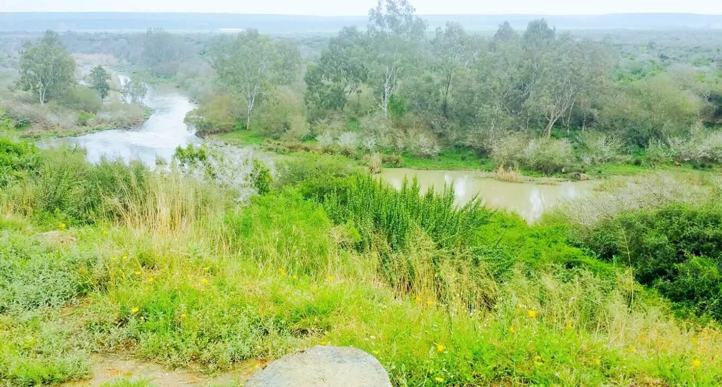 River Front Estate LANDSCAPE