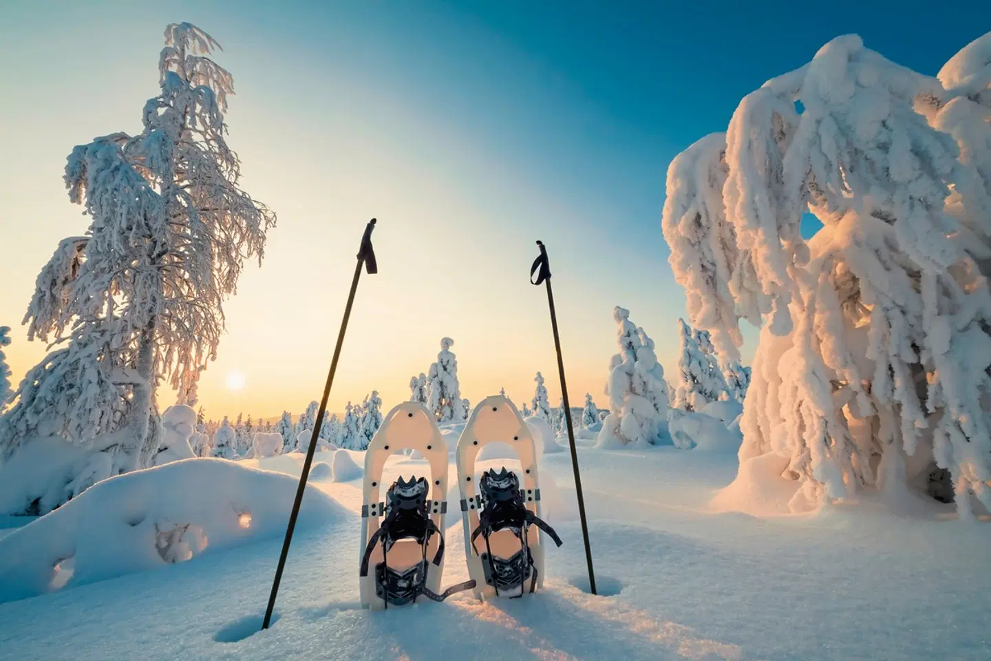 Arktische Erlebnisse SPORTS_AND_LEISURE