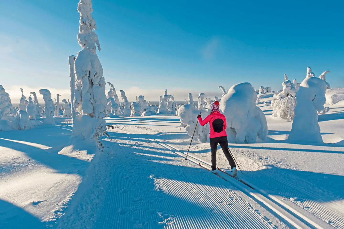 Winterlich aktiv in Schwedisch Lappland SPORTS_AND_LEISURE