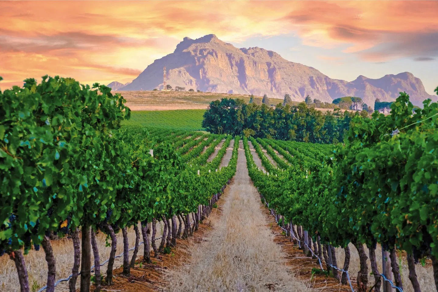 Südafrika - Die Highlights der Kapregion und Gardenroute erwandern LANDSCAPE