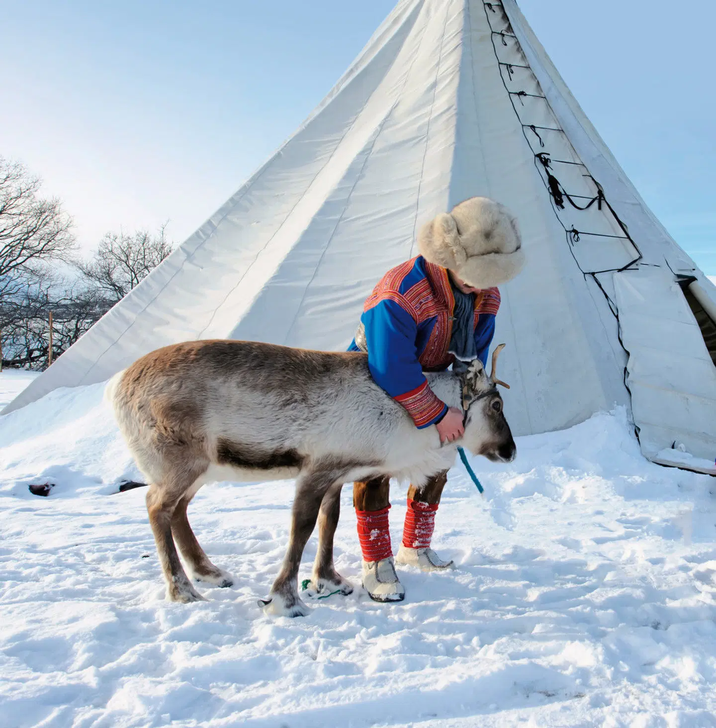 Winterlich aktiv in Schwedisch Lappland Tiere
