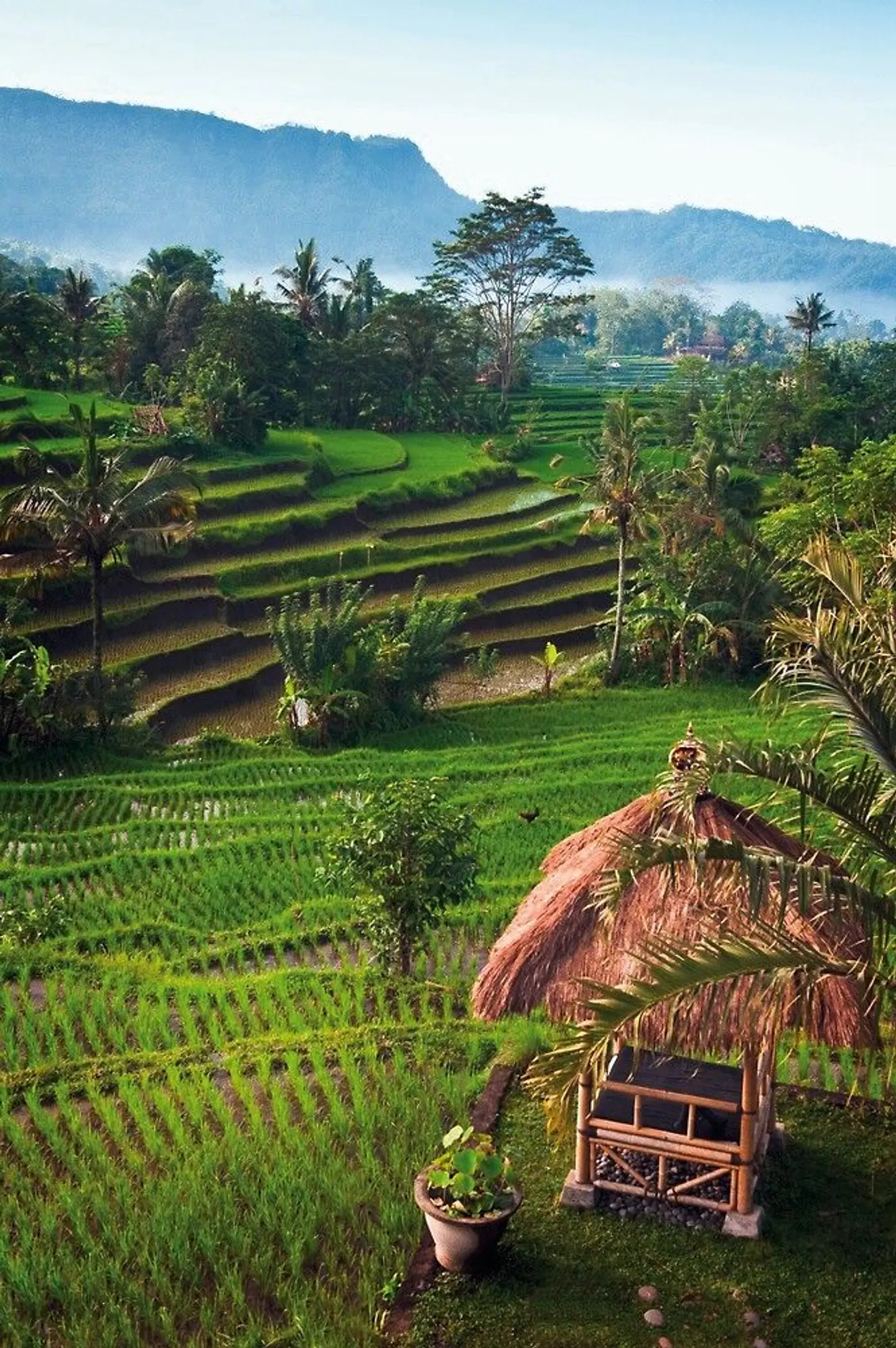 Schätze Indonesiens (Gruppenreise) Garten