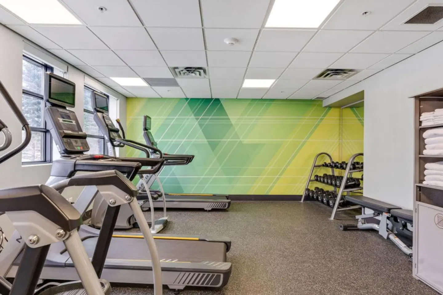 Holiday Inn & Suites Ottawa West - Kanata SPORTS_AND_LEISURE