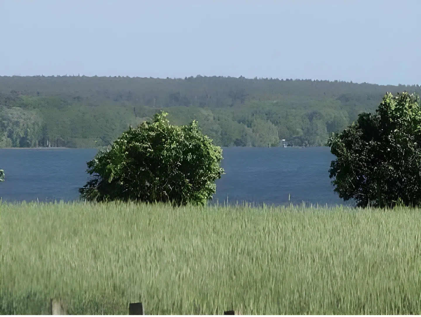 Marianne LANDSCAPE