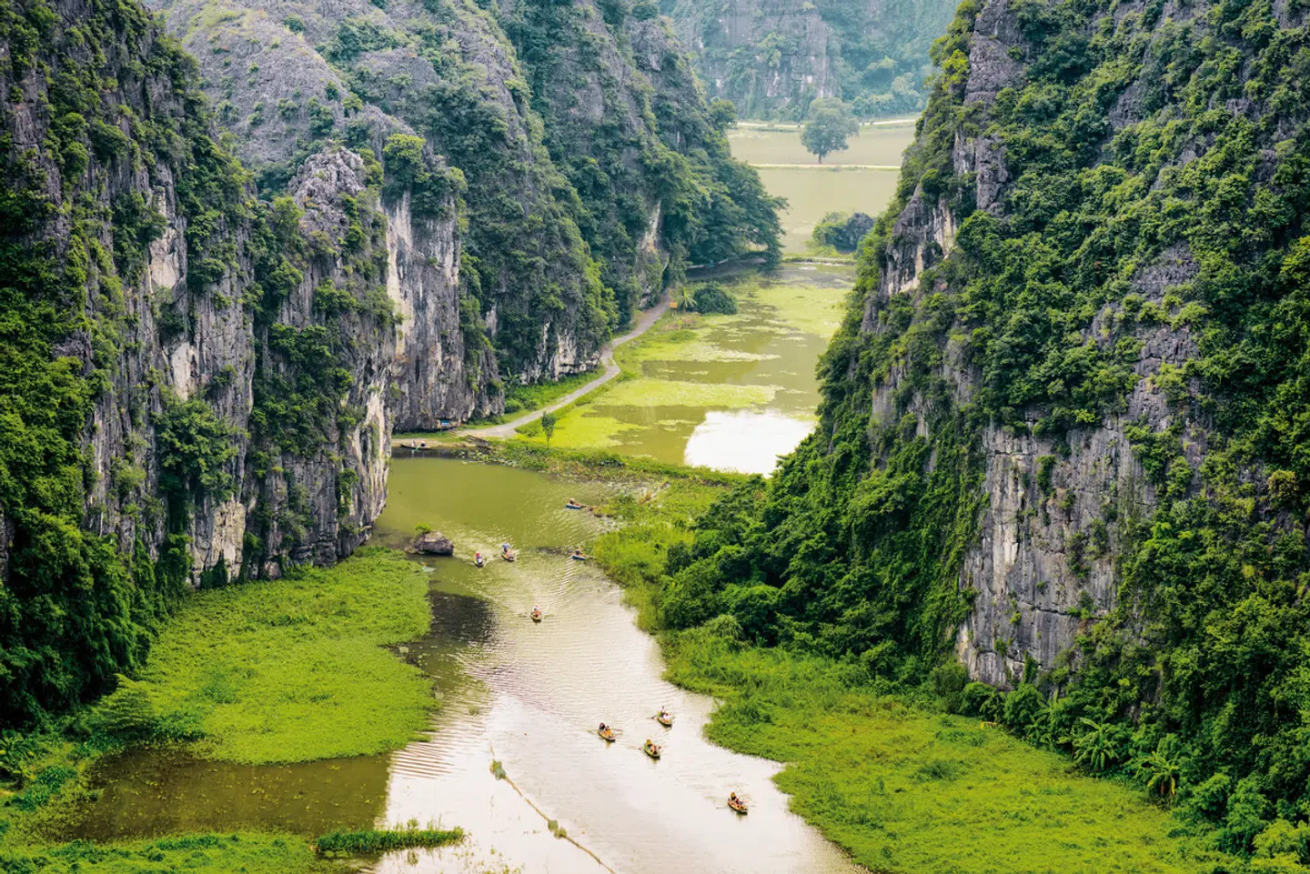Im Herzen der Natur LANDSCAPE