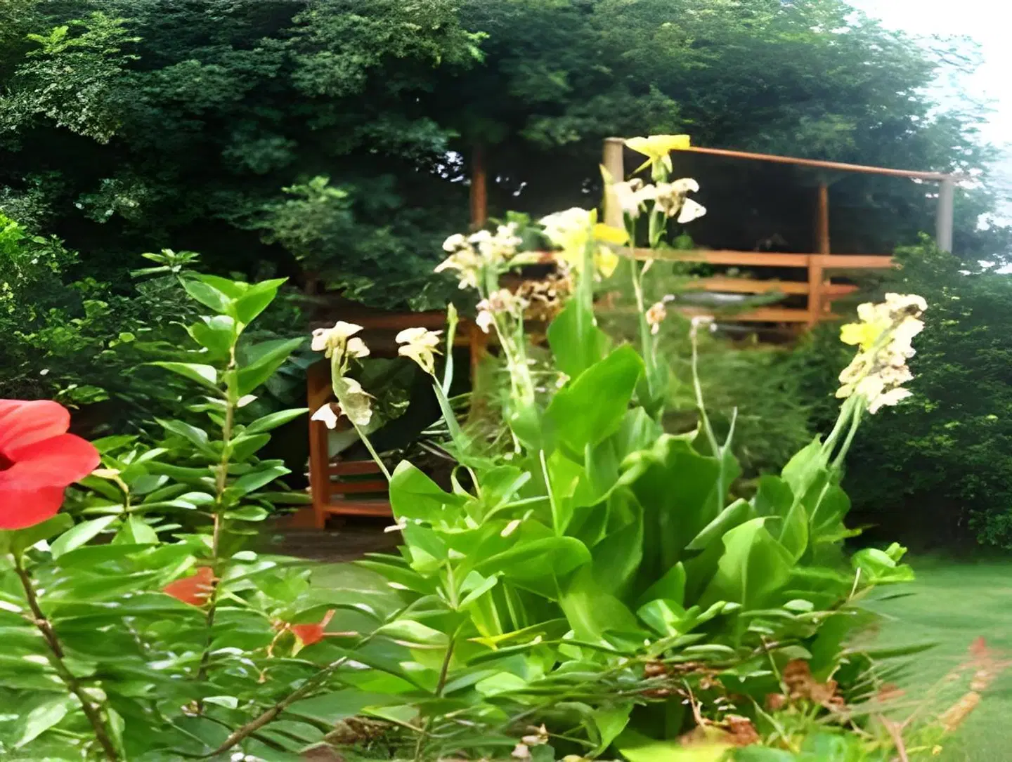 Simge Pension Garten