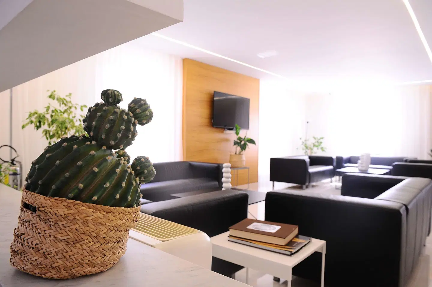 Casena Dei Colli LOUNGE_LOBBY