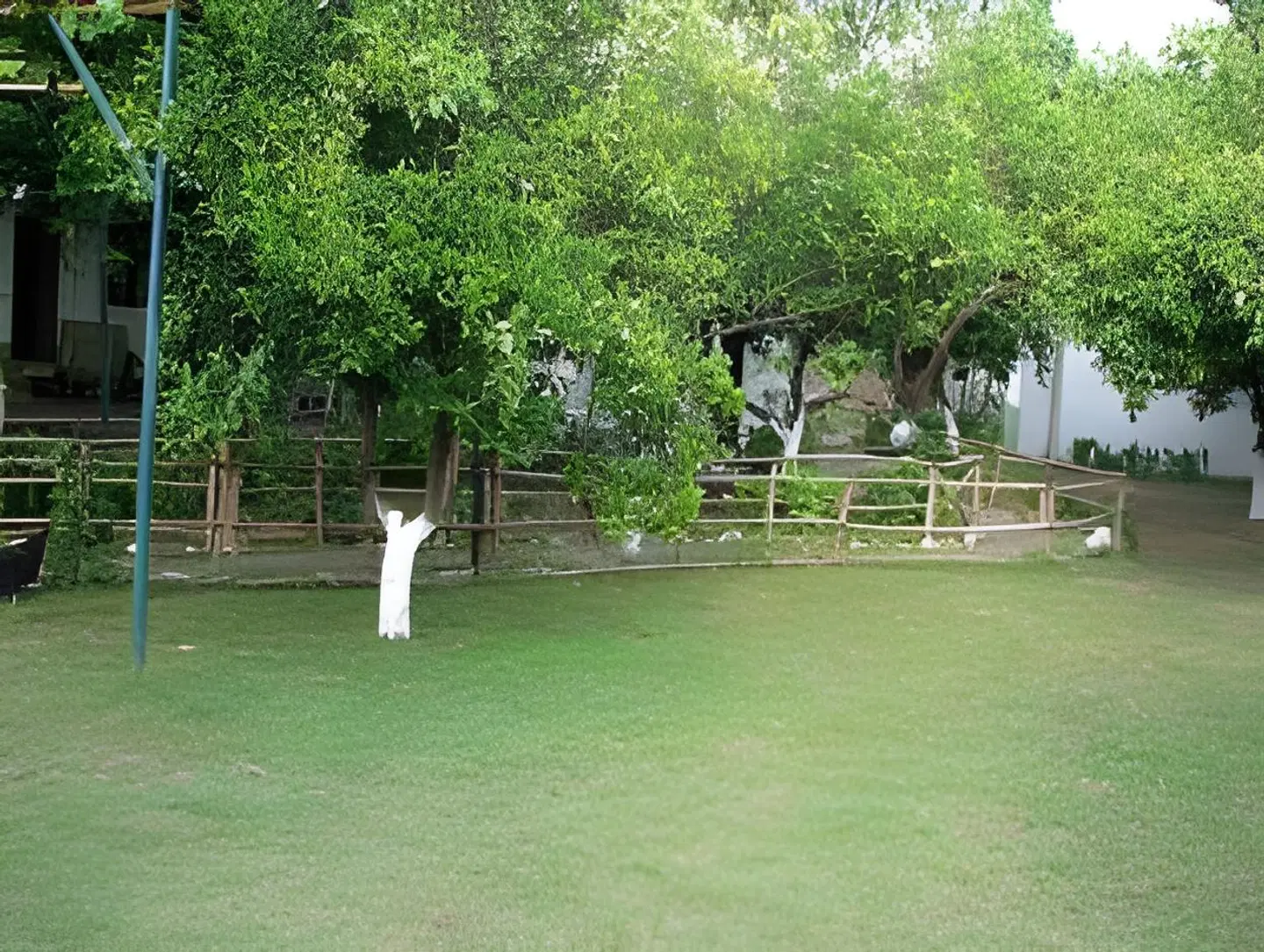 Alibaba Pension Garten