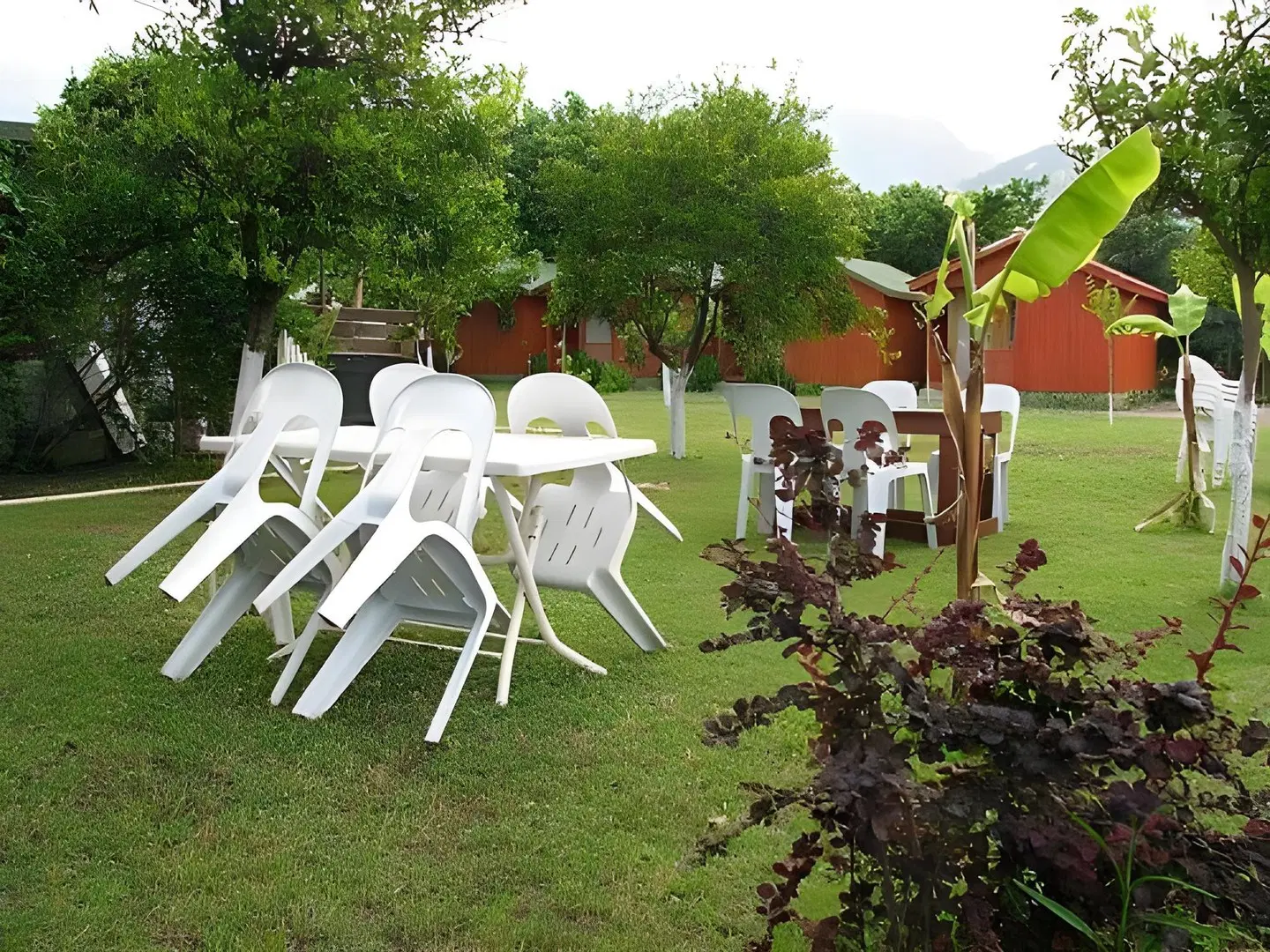 Alibaba Pension Garten