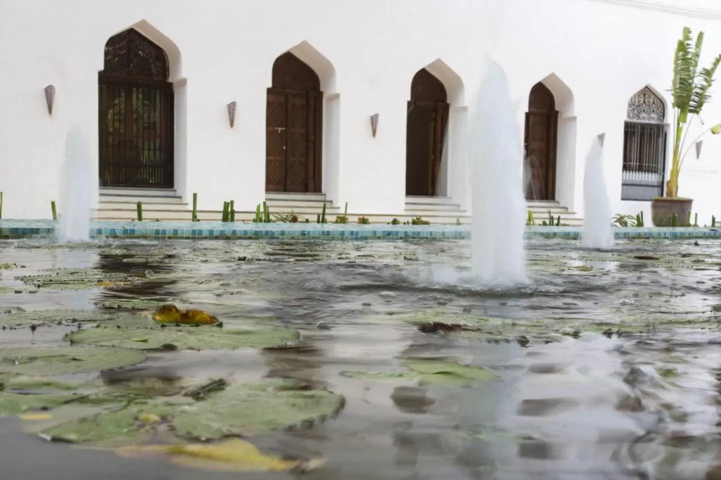 Park Hyatt Zanzibar EXTERIOR