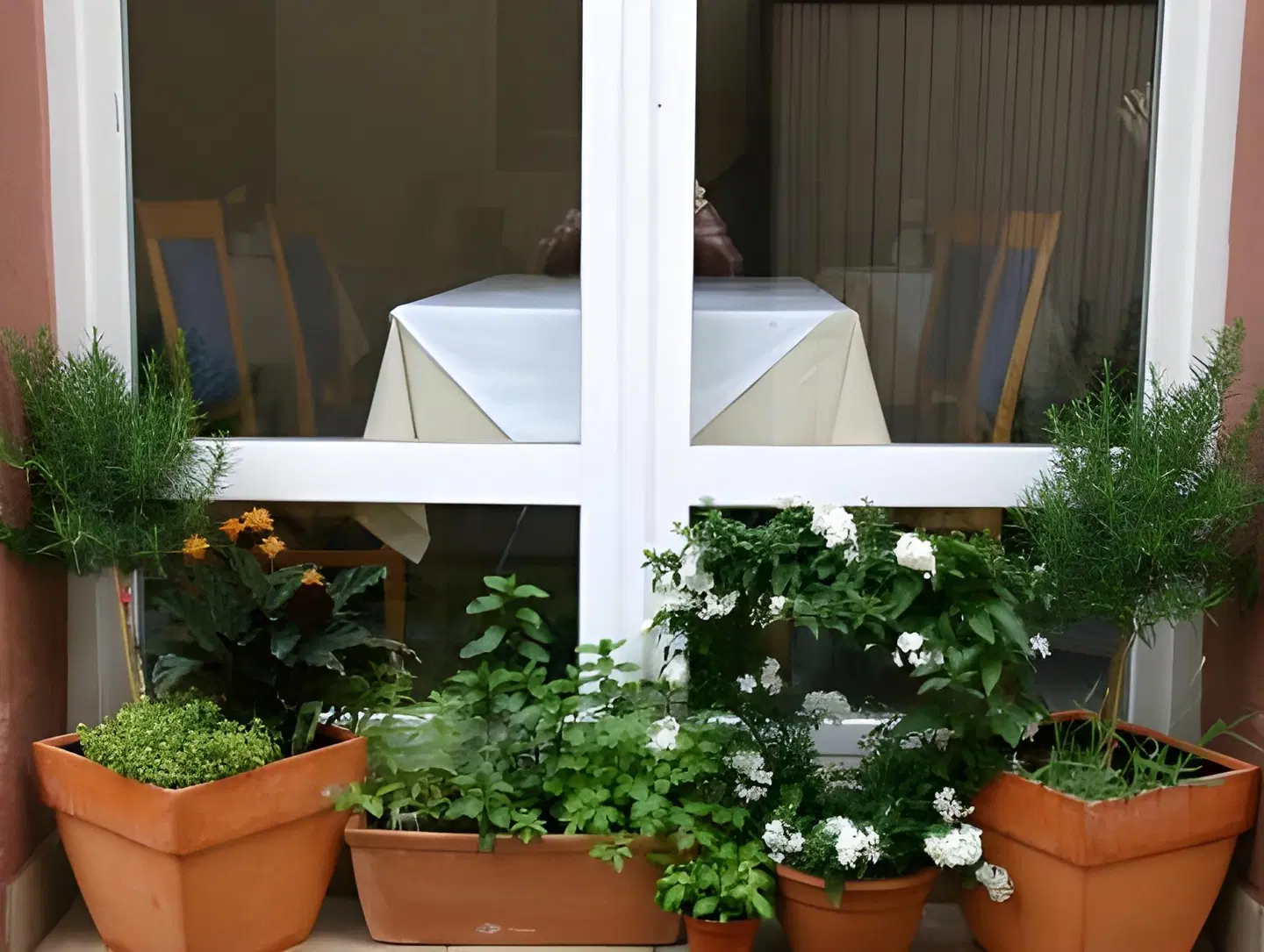 Alt Speyer Terrasse