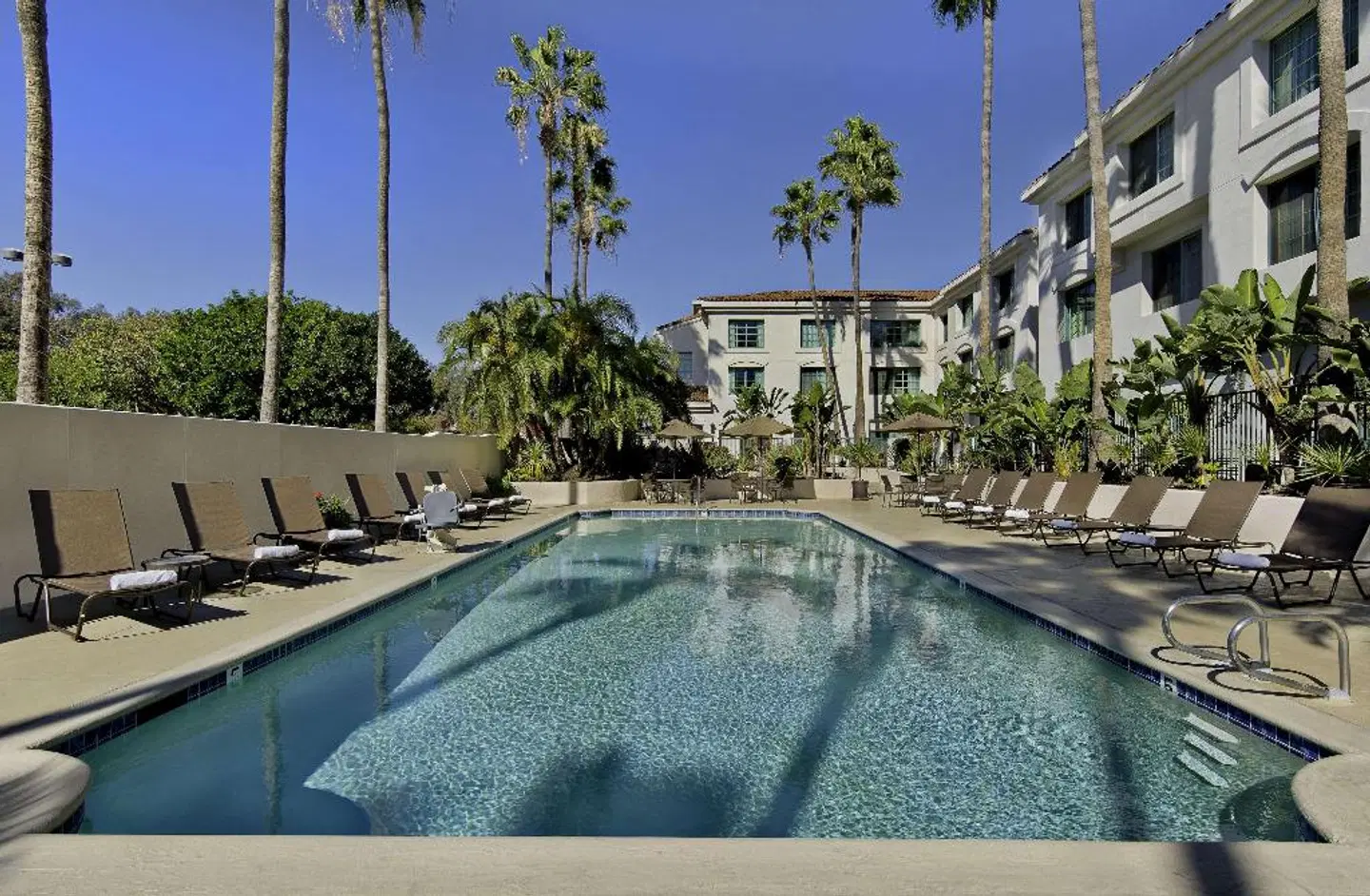 DoubleTree by Hilton San Pedro OUTDOOR_POOL