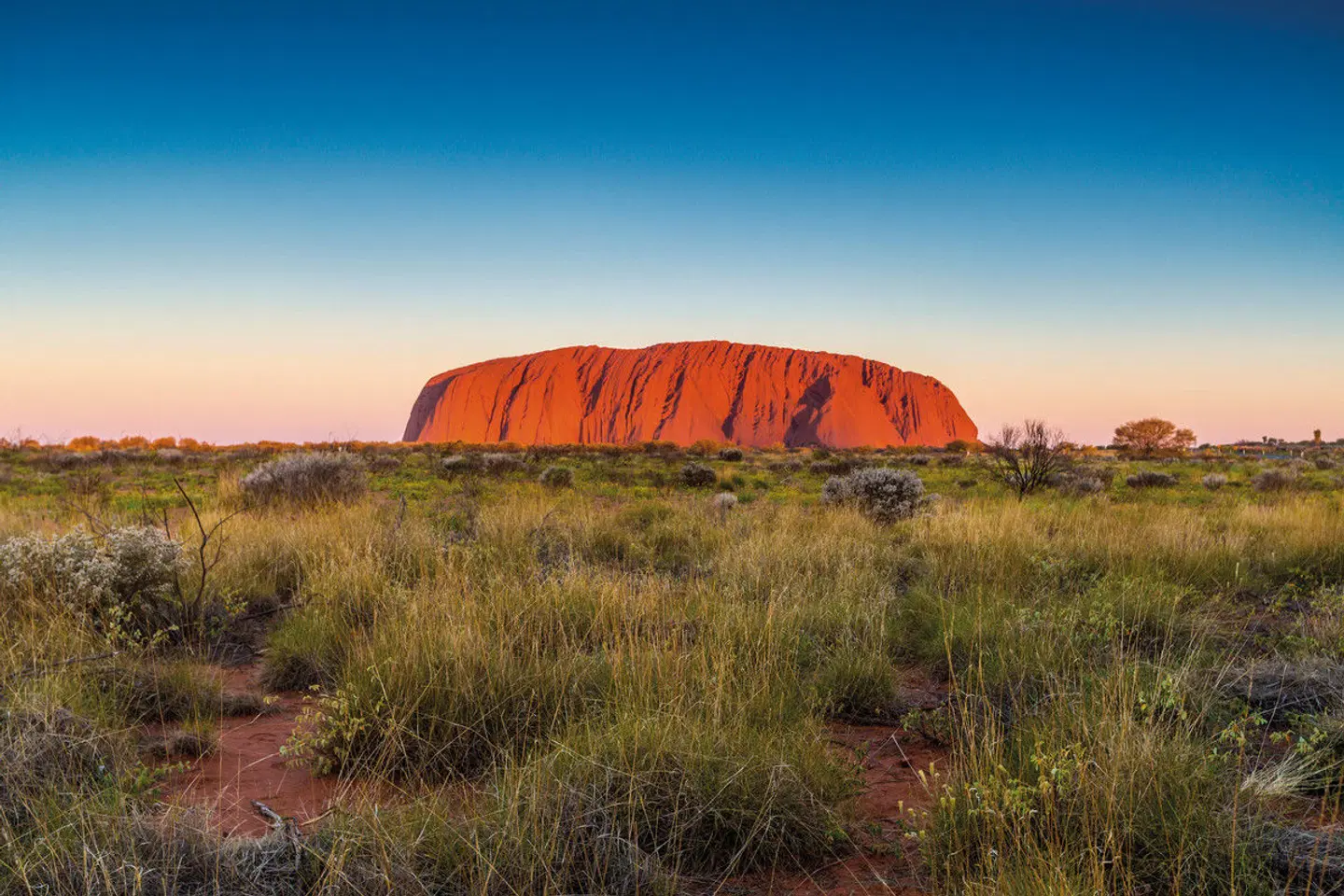 Camping Abenteuer im Roten Zentrum (ab Yulara) LANDSCAPE