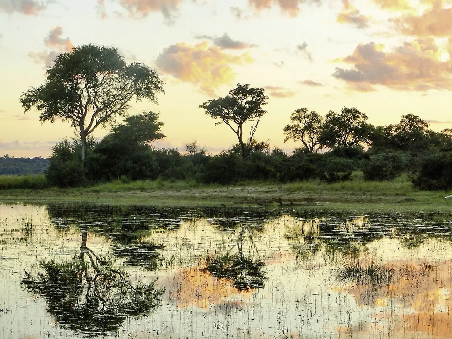 Erlebnis Nationalparks - Etosha bis Victoria Falls LANDSCAPE