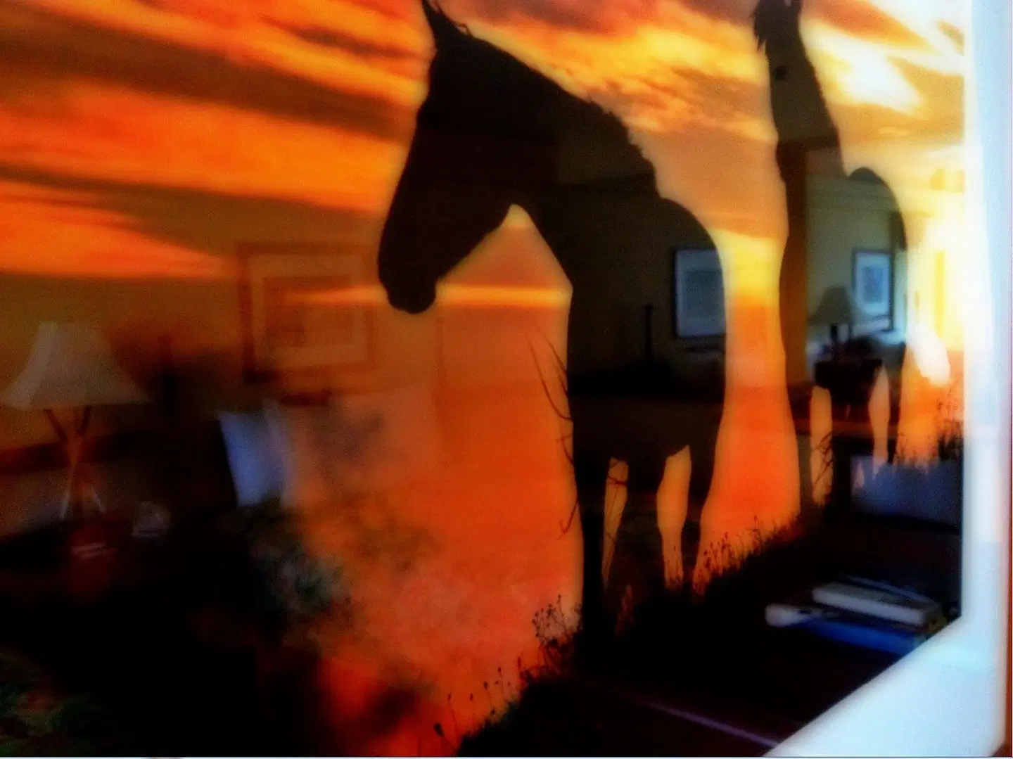 The Equus Tiere