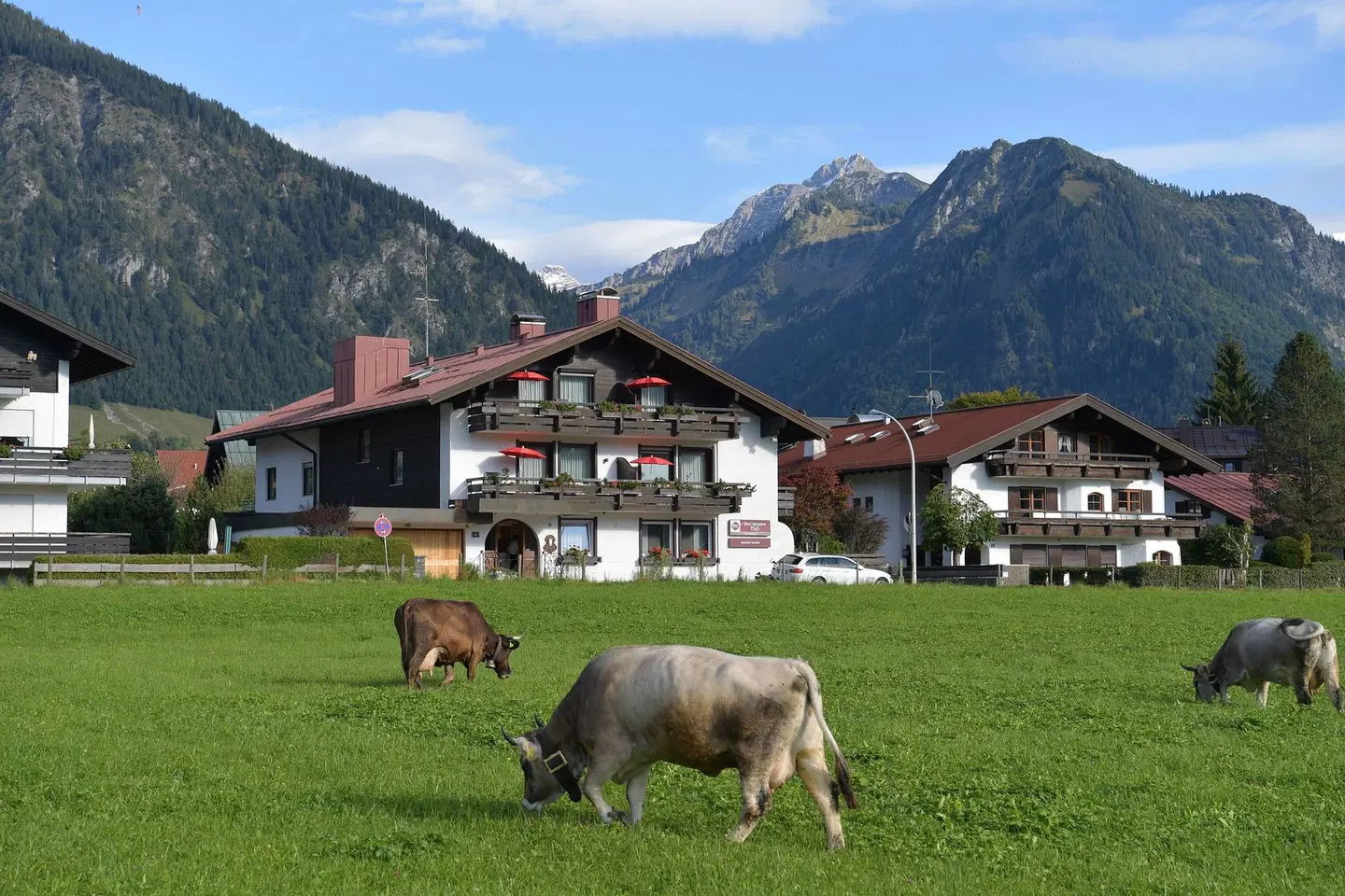 Alpenhof Oberstdorf Hotel & SPA Tiere