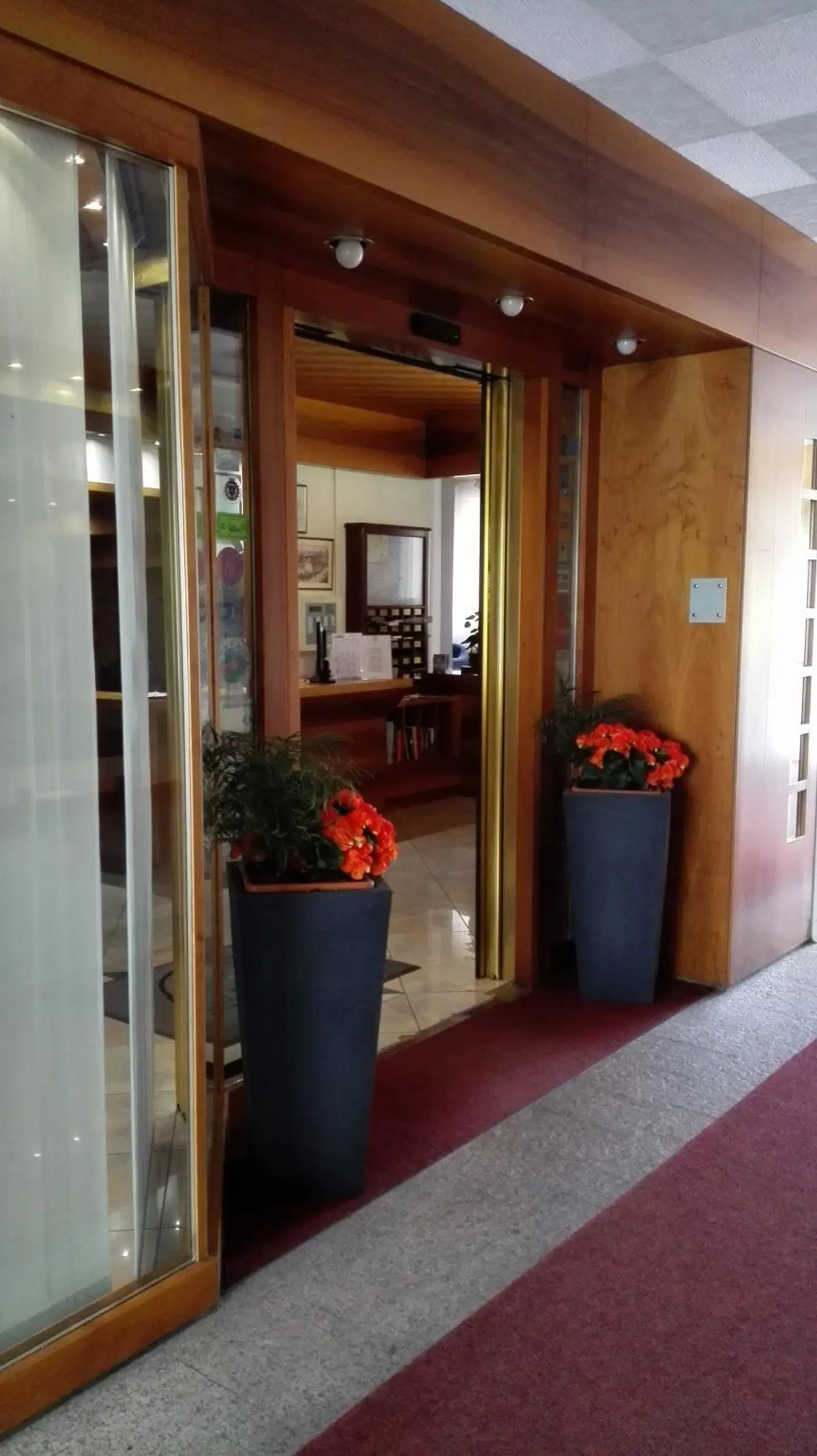 Albergo Delle Alpi LOUNGE_LOBBY
