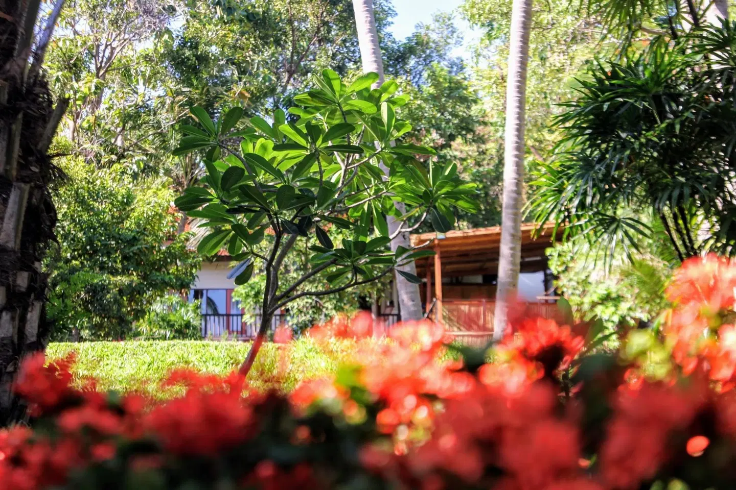 Alpha Gay Resort & Spa Garten