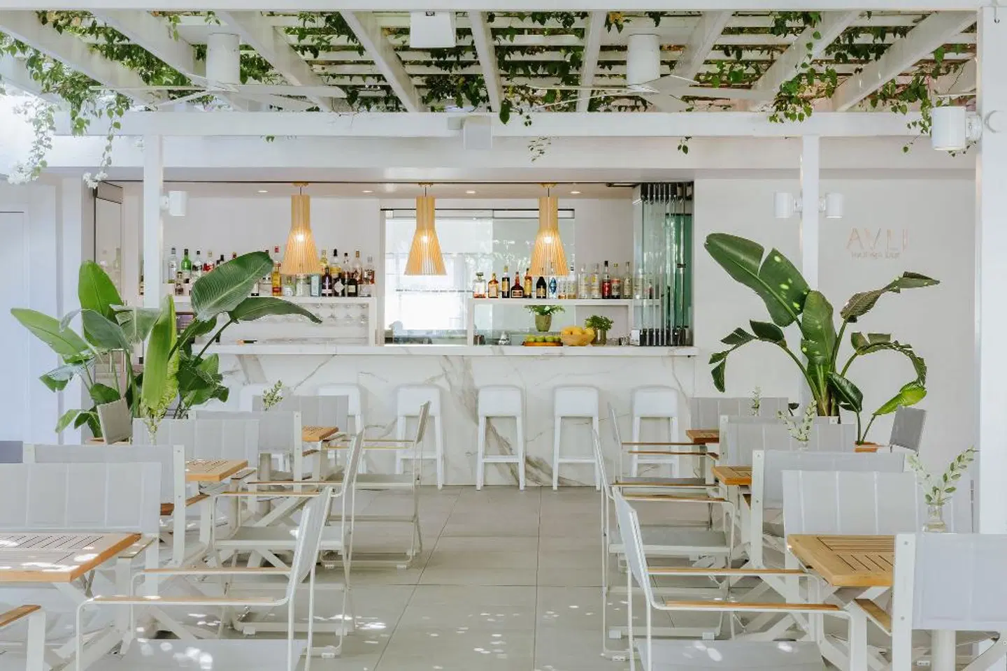 Nissi Park Hotel Bar