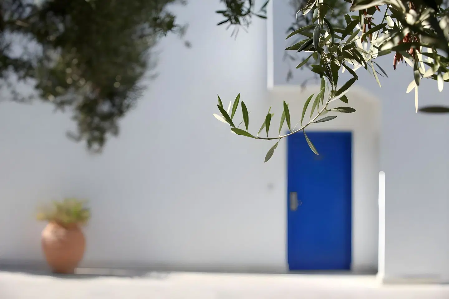 Aliathon Aegean OUTDOOR_POOL
