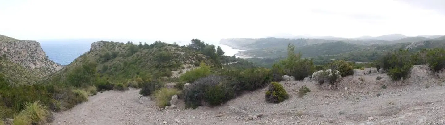 Bell Port LANDSCAPE