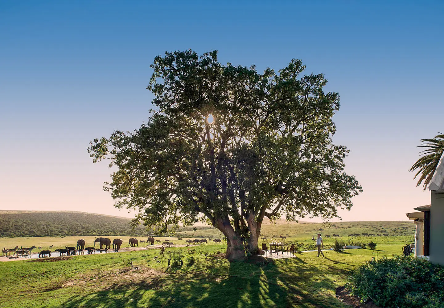 Gorah Elephant Camp LANDSCAPE