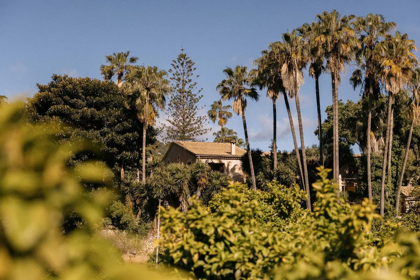 Finca Agroturismo Son Galcerán LANDSCAPE