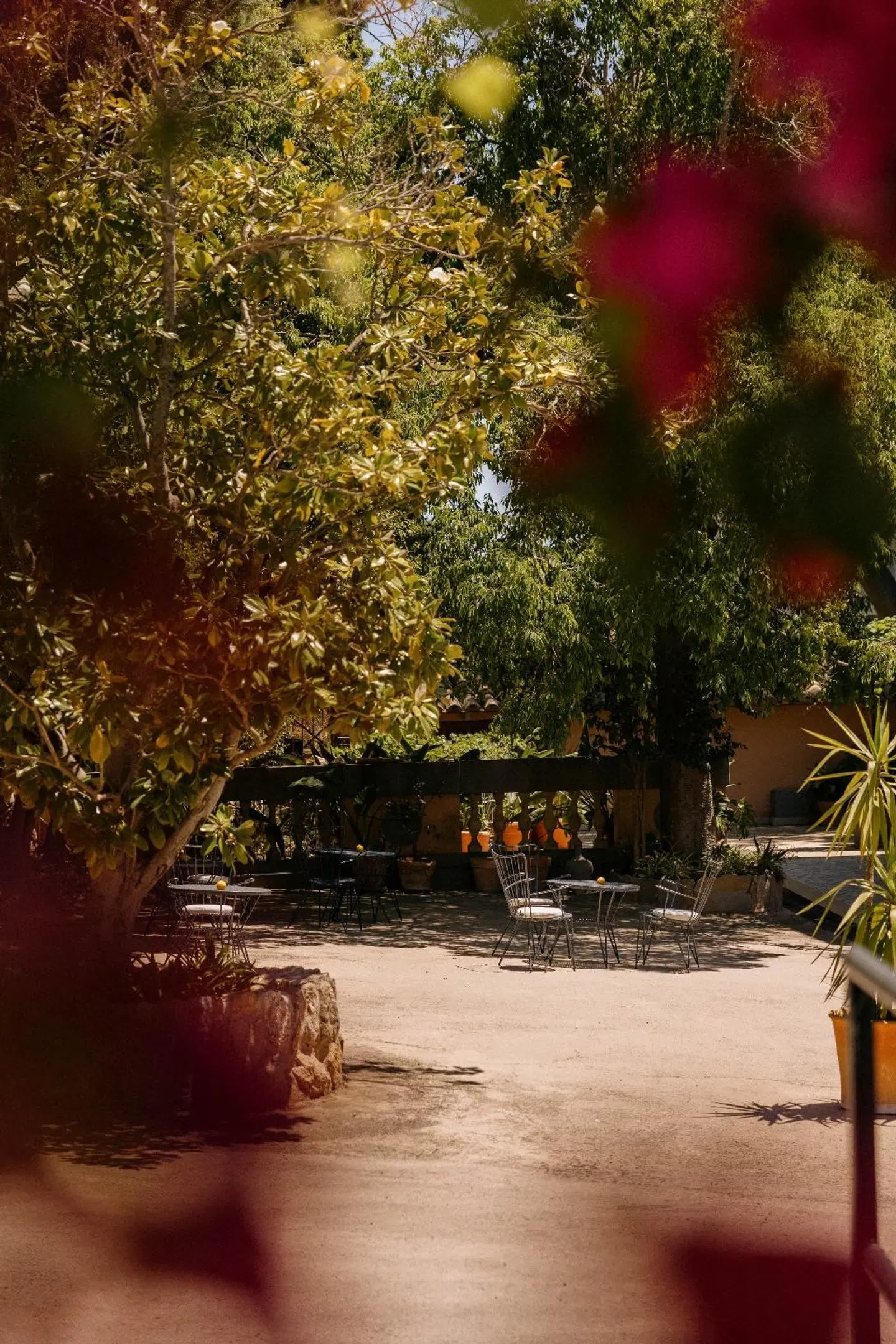 Finca Agroturismo Son Galcerán Terrasse